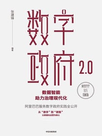 数字政府2.0：数据智能助力治理现代化