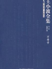 王小波全集（第三卷 长篇小说）