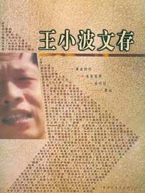王小波文存