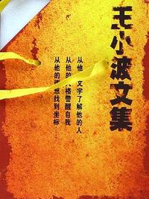 王小波文集