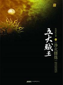 五大贼王3
