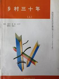 乡村三十年