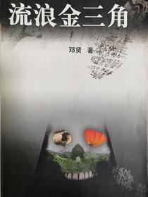 流浪金三角