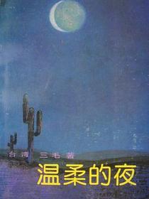 温柔的夜