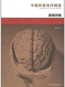 偷脑的贼