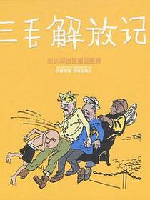 三毛解放记/精装