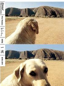 一次：影像和故事