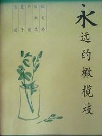 永远的橄榄枝
