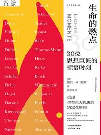 生命的燃点：30位思想巨匠的顿悟时刻