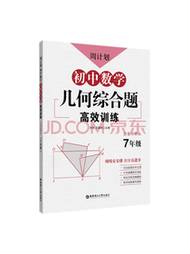 初中数学几何综合题高效训练