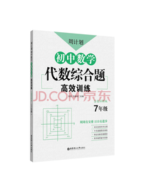 初中数学代数综合题高效训练