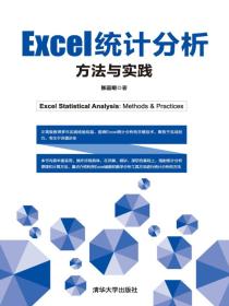 Excel统计分析：方法与实践