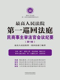 最高人民法院第一巡回法庭民商事主审法官会议纪要（第1卷）