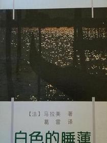 白色的睡莲