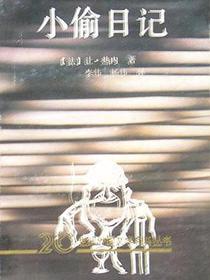 小偷日记
