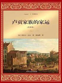 卢贡家族的家运