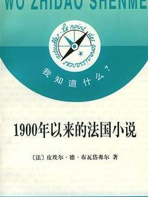 1900年以来的法国小说