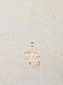 於是 : 搬石你沿街看節日的燈飾
