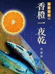 香橙一夜乾