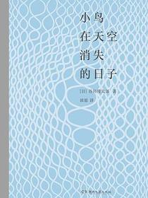 小鸟在天空消失的日子