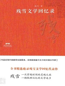 残雪文学回忆录