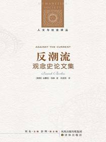 反潮流：观念史论文集 （人文与社会译丛）