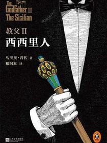 教父 2：西西里人