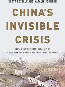 China&#39;s Invisible Crisis