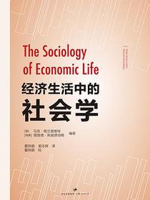 经济生活中的社会学