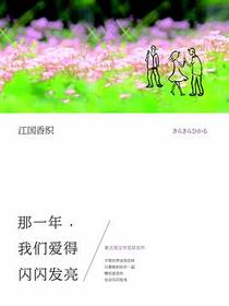 那一年，我们爱得闪闪发亮
