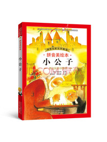世界儿童文学精选：小公子（拼音美绘本）