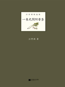 一束光阴付苦茶