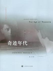 奇迹年代
