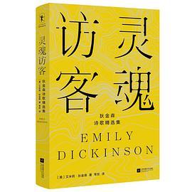 灵魂访客