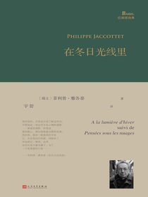 在冬日光线里（巴别塔诗典系列）