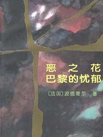 恶之花 巴黎的忧郁