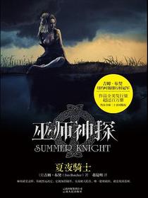巫师神探4: 夏夜骑士