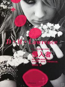 侵入者
