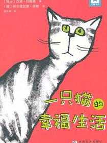 一只猫的幸福生活