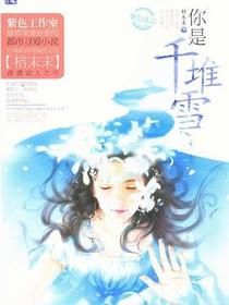 你是千堆雪