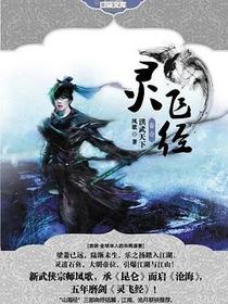 灵飞经·第一卷·洪武天下