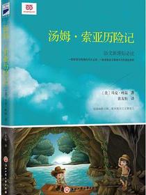 汤姆·索亚历险记