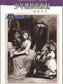 少年维特的烦恼