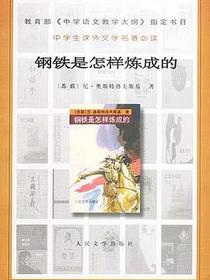 钢铁是怎样炼成的