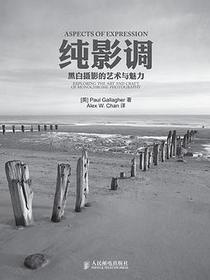 纯影调