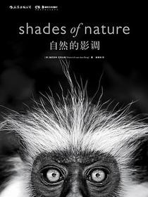 自然的影调