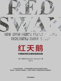 红天鹅：中国独特的治理和制度创新