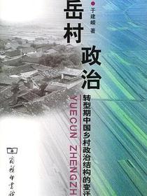 岳村政治