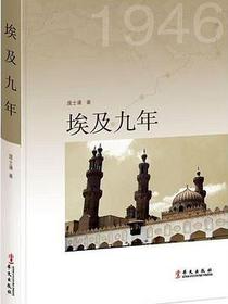 埃及九年