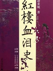 红楼血泪史